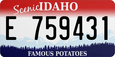 ID license plate E759431