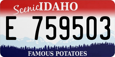 ID license plate E759503