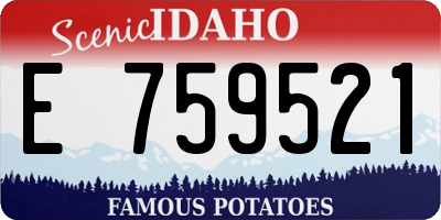 ID license plate E759521