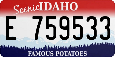 ID license plate E759533
