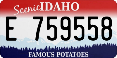 ID license plate E759558
