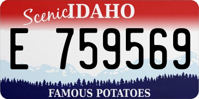 ID license plate E759569
