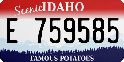 ID license plate E759585