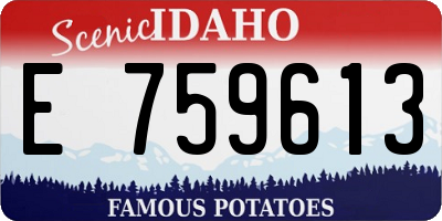 ID license plate E759613
