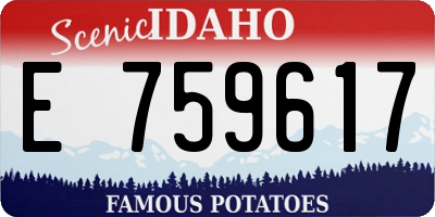 ID license plate E759617