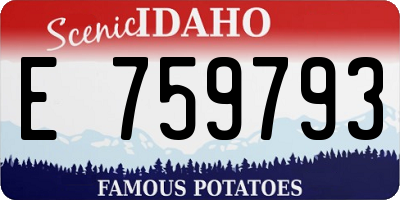ID license plate E759793