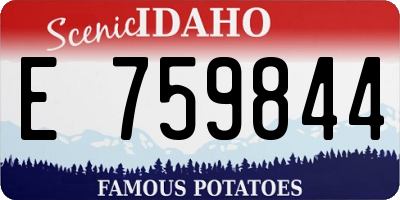 ID license plate E759844