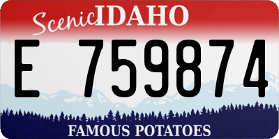 ID license plate E759874