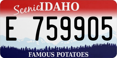 ID license plate E759905