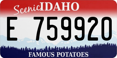 ID license plate E759920