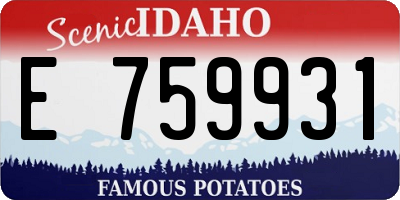 ID license plate E759931
