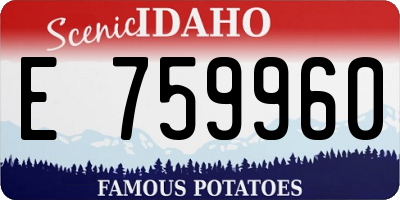 ID license plate E759960