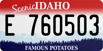 ID license plate E760503