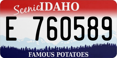 ID license plate E760589