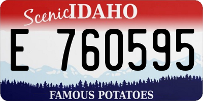 ID license plate E760595