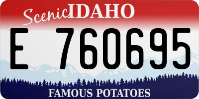 ID license plate E760695