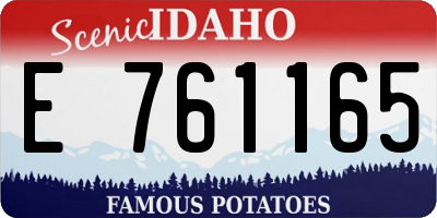 ID license plate E761165