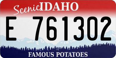 ID license plate E761302