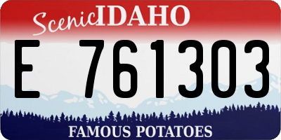 ID license plate E761303