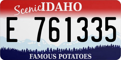 ID license plate E761335