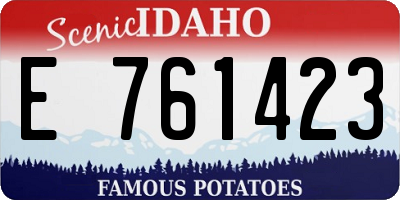 ID license plate E761423