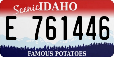 ID license plate E761446