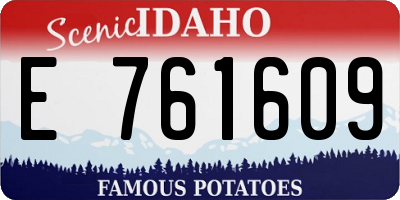 ID license plate E761609