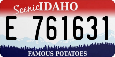 ID license plate E761631