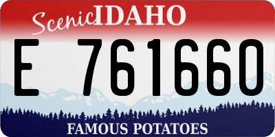 ID license plate E761660