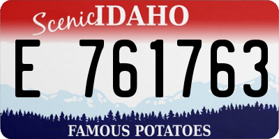 ID license plate E761763