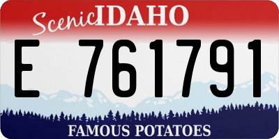 ID license plate E761791