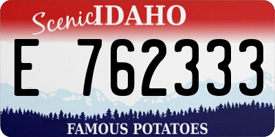 ID license plate E762333