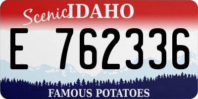ID license plate E762336