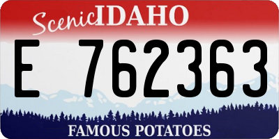 ID license plate E762363