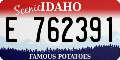 ID license plate E762391