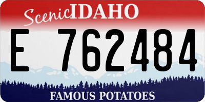 ID license plate E762484