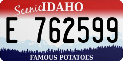 ID license plate E762599