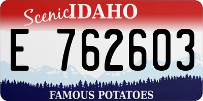ID license plate E762603
