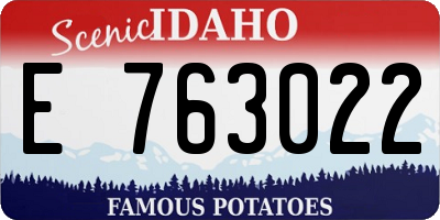 ID license plate E763022