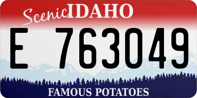 ID license plate E763049