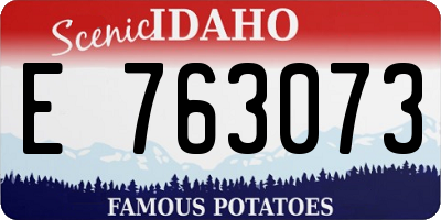 ID license plate E763073