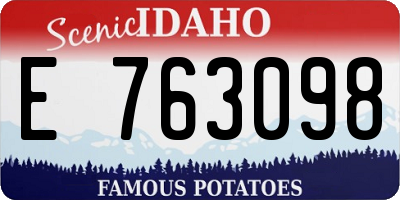 ID license plate E763098