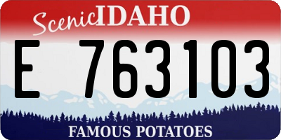 ID license plate E763103