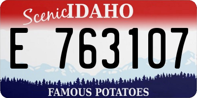 ID license plate E763107