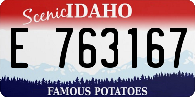ID license plate E763167