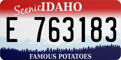 ID license plate E763183