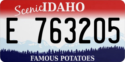 ID license plate E763205