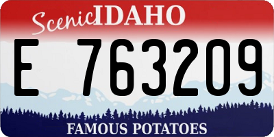 ID license plate E763209