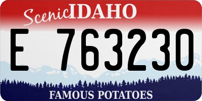 ID license plate E763230