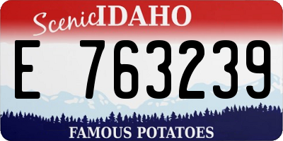 ID license plate E763239